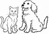 Coloring Dog Cat Pages Dogs Printable Cats Real Color Cool Print Sheets Getcolorings Drawing Colouring Realistic Getdrawings Kids Colorings sketch template