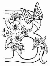 Coloring Pages Butterflies Butterfly Flower sketch template