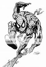 Coloring Spiderman Pages Sheets Interesting Spider Kids Man Detailed Amazing Hulk Adult Green Adults Boards Choose Board Patterns sketch template