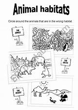 Habitats Animal Worksheet Worksheets Animals Preview Esl Vocabulary Eslprintables sketch template