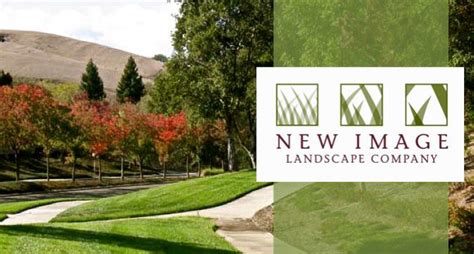 landscape company independent candidate