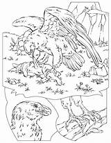 Coloring Eagle Pages National Geographic Golden Library Clipart Kids Printable Adler Print Park Popular Printables Coloringhome sketch template