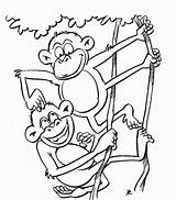 Monkey Coloring Book Library Clipart Pages sketch template