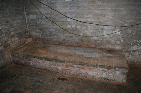house of horrors man discovers hidden dungeon beneath new apartment