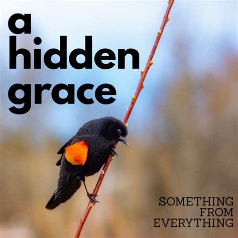 a hidden grace something from everything