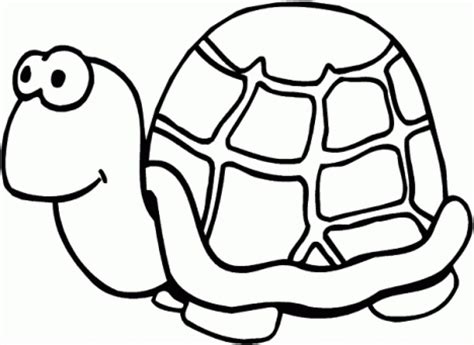 simple turtle coloring pages  print  preschoolers cdsxi