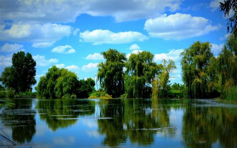 trees pond sky wallpaper hd nature  wallpapers images