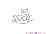 Mud Pig Colouring Children Coloring Pages Sheet Title sketch template