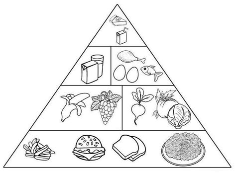 printable food pyramid coloring page