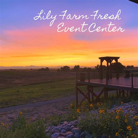 Outdoor Space With Beautiful Views At Lily Farm Fresh