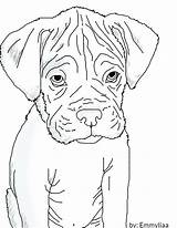 Boxer Coloring Puppy Pages Dog Line Drawing Lineart Dogs Draw Print Drawings Printable Sketch Getdrawings Astounding Wonderful Color Deviantart Getcolorings sketch template