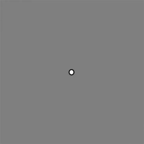 black dot crosshair fivem
