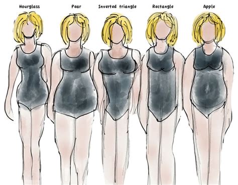 dress   body shape   determine  body type