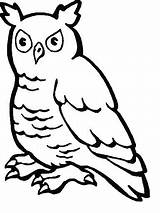 Lechuza Disegni Bosco Bambini Buho Coloring Buhos Owls Caballo Búho Cortar sketch template