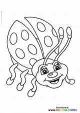 Ladybug Cat Ladybugs sketch template