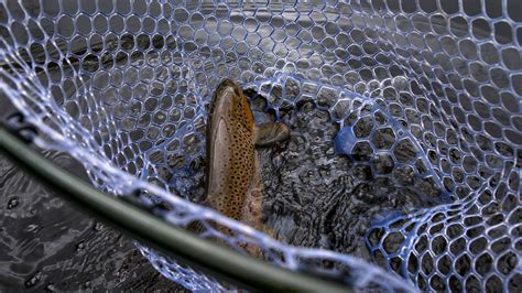 review fishpond nomad boat net hatch magazine fly fishing