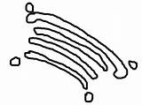 Golgi Apparatus Easy Drawing Body Clipart Cliparts Library Simple sketch template