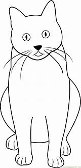 Cat Coloring Sitting Looking Pages Coloringpages101 sketch template