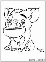 Moana Pua Pig Pages Coloring Colouring Color Coloringpagesonly Choose Board Cute sketch template