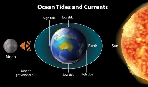 How Do The Earth Moon And Sun Affect Tides The Earth Images Revimage Org