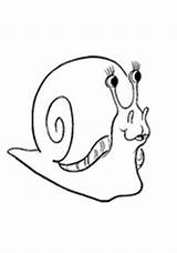 Slakken Snail Kleurplaten Slak Schnecken Schnecke Mewarnai Malvorlage Siput Coloriages Lumaca Escargot Bergerak Ausmalbilder Dieren Animaux Snails Lumache Escargots Animata sketch template