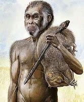 sejarah  jenis fosil manusia purba indonesia gambar manusia purba
