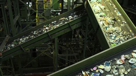 big sort  insiders    recycling plant science friday