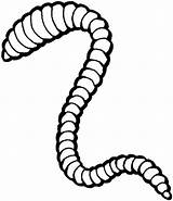 Regenwurm Worm Worms Earthworm Colorare Ausmalbilder Disegni Langer Lombriz Tiere Lombrico Supercoloring Tierra Lombrices Ligne Malvorlage Clipart Earthworms Regenwürmer Malvorlagen sketch template