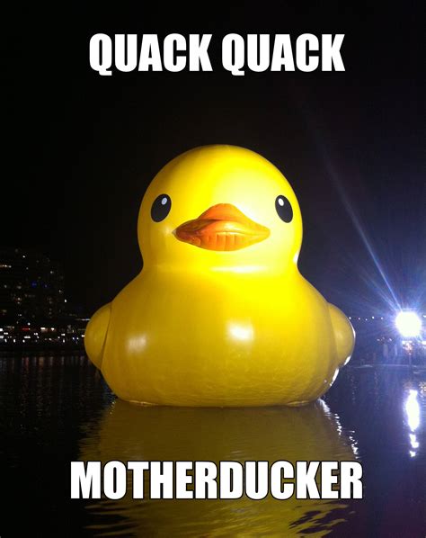 image  big yellow duck   meme