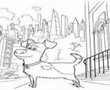 Coloring Pets Secret Life Pages Dog Printable Gidget Walk City Max Print sketch template