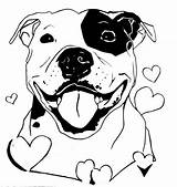 Pitbull Drawings Staffy Coloring Bull Drawing Pages Dog Terrier Dessin Chien Tattoo Pit Staffordshire American Coloriage Colouring Amstaff Sheets Outline sketch template
