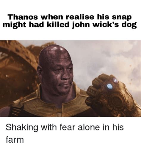 Download John Wick Kills Thanos Meme Png And  Base