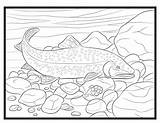 Trout Golden sketch template