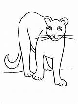 Pumas Colorier Coloriages Childrencoloring sketch template