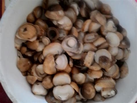 blog suciana dwi mengolah jamur merang menjadi jamur krispi