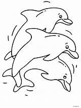 Kleurplaat Dolfijn Dolfijnen Zeemeermin Tekenen Leuke Omnilabo Makkelijk Knutselwerken Dieren Downloaden sketch template