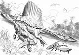 Spinosaurus Dinosaurier Langhals sketch template