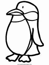 Pinguine Pinguini Pinguino Penguin Animali Pinguins Pinguinos Kolorowanki Head Ausmalen Sundae Malvorlage Ahiva Pingwiny Cliccate Drukuj Aprenden Juegan Divierten Druku sketch template