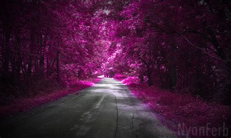 pink forest  insomniaqueen  deviantart