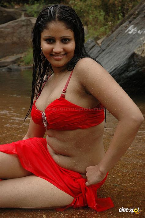 sexy actress gallery telugu aunty actress hot boobs navel