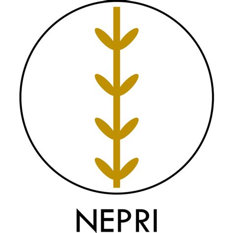 nepri company culture jobs  blockchain careers
