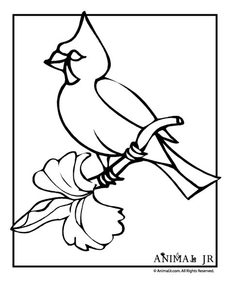 christmas coloring pages winter birds animal jr