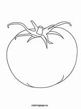 Tomato Coloring Tomatoes Drawing Getdrawings sketch template