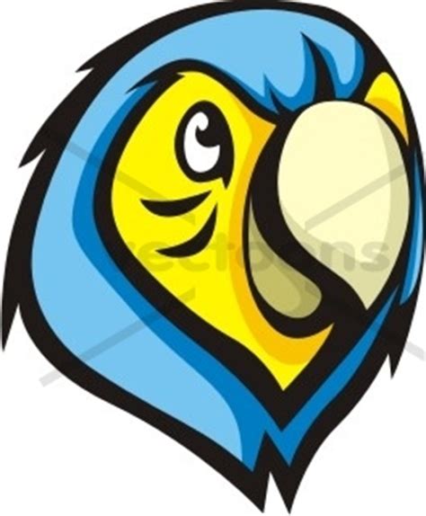 colored parrot head logo bird animals buy clip art buy illustrations vector royalty