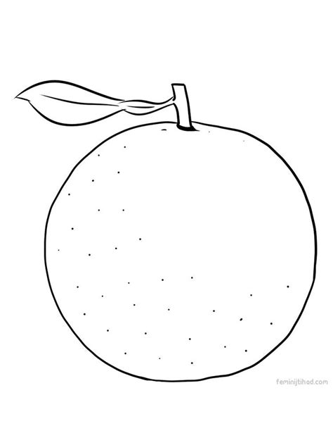 oranges coloring pages coloring home