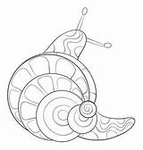 Snail Mollusk sketch template