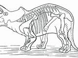 Coloring Fossil Pages Dinosaur Fossils Getcolorings Printable Getdrawings sketch template