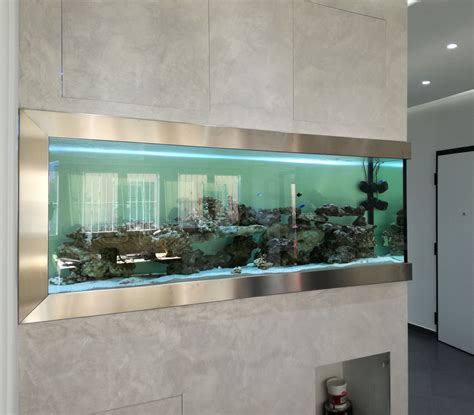 Hai mai provato ad acquistare un acquario da parete perfetto? VUOI REALIZZARE UN ACQUARIO PERSONALIZZATO SU MISURA E INCASSARLO NELLE