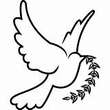 Dove Line Clipart Library Vector Clip Holy Spirit sketch template