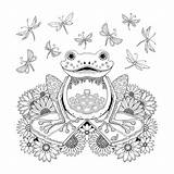 Johanna Basford Frog Adultes Frosch Colouring Rane Enchanted Adulte Ausmalbild Ranocchio Enchantee Foret Mosaico Adulti Encantada Floresta Designkids Vk sketch template